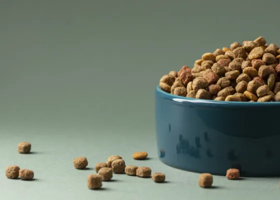 Feed & Petfood