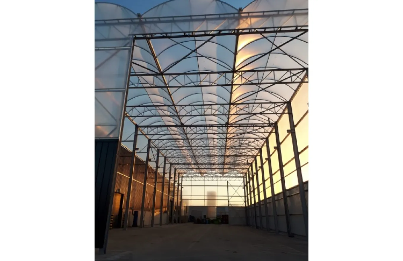 Dome